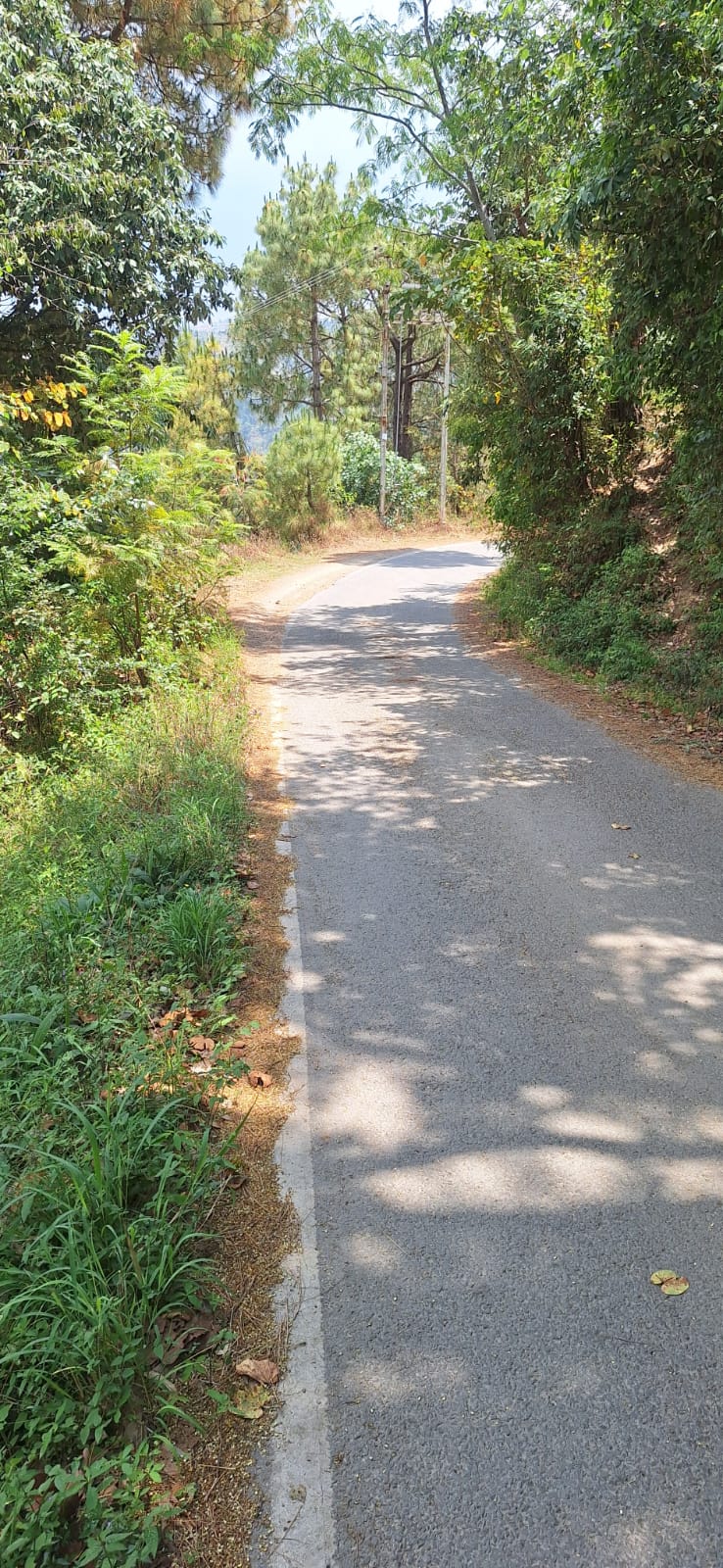 Dharamsala land terrain