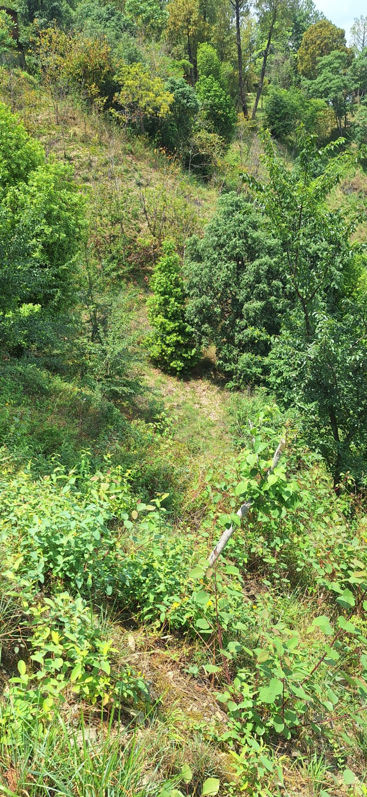 Shoghi land site view