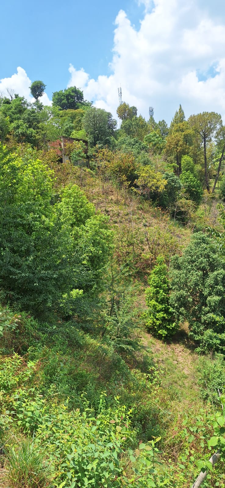 Shoghi land NH-5 frontage